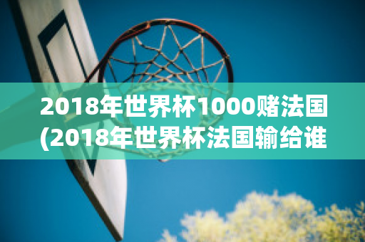 2018年世界杯1000赌法国(2018年世界杯法国输给谁)