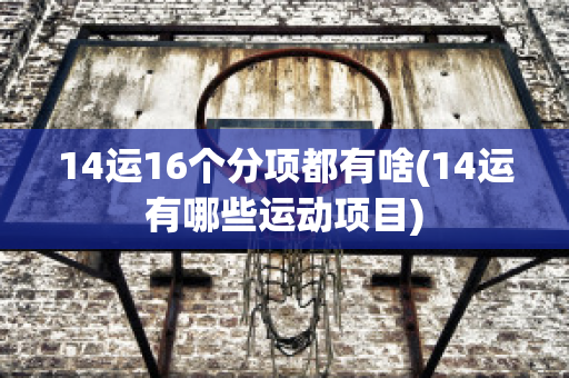 14运16个分项都有啥(14运有哪些运动项目)