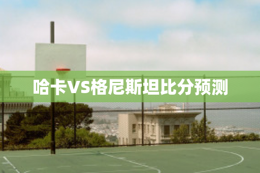 哈卡VS格尼斯坦比分预测