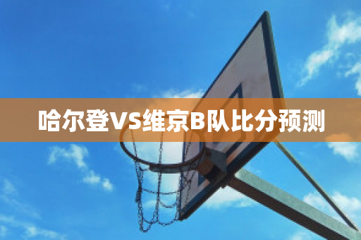 哈尔登VS维京B队比分预测