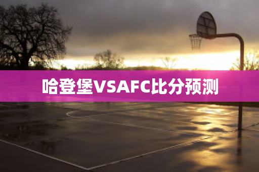 哈登堡VSAFC比分预测