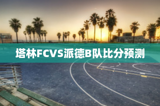 塔林FCVS派德B队比分预测