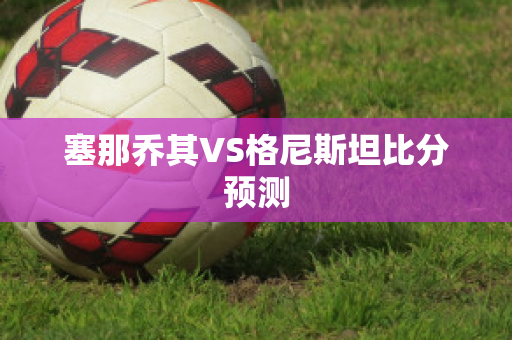 塞那乔其VS格尼斯坦比分预测