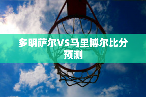 多明萨尔VS马里博尔比分预测