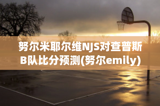 努尔米耶尔维NJS对查普斯B队比分预测(努尔emily)