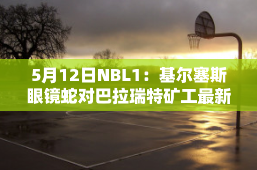 5月12日NBL1：基尔塞斯眼镜蛇对巴拉瑞特矿工最新信息