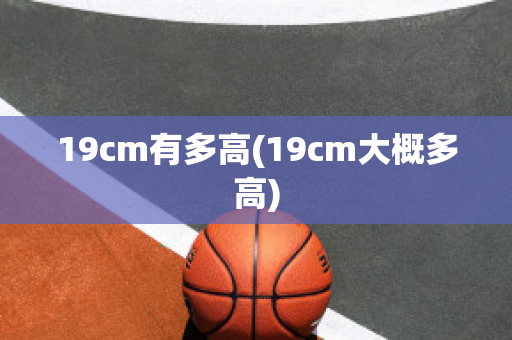 19cm有多高(19cm大概多高)