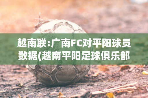 越南联:广南FC对平阳球员数据(越南平阳足球俱乐部)