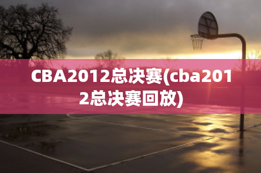 CBA2012总决赛(cba2012总决赛回放)