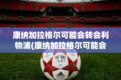 康纳加拉格尔可能会转会利物浦(康纳加拉格尔可能会转会利物浦嘛)