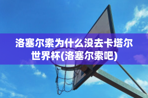 洛塞尔索为什么没去卡塔尔世界杯(洛塞尔索吧)