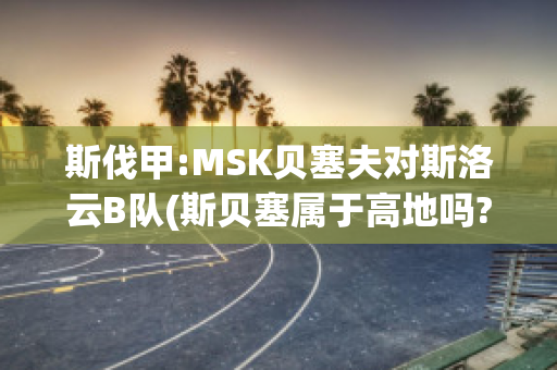 斯伐甲:MSK贝塞夫对斯洛云B队(斯贝塞属于高地吗?)