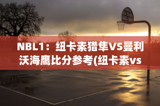 NBL1：纽卡素猎隼VS曼利沃海鹰比分参考(纽卡素vs热刺)