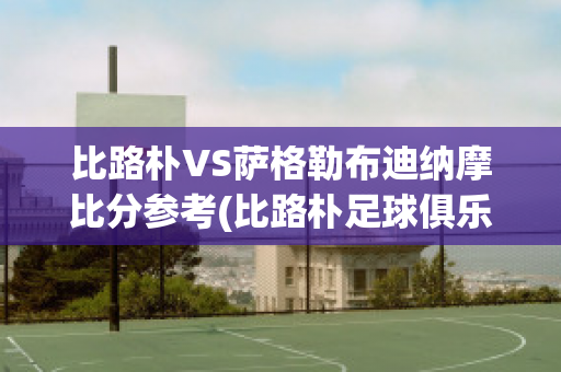 比路朴VS萨格勒布迪纳摩比分参考(比路朴足球俱乐部)