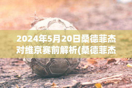 2024年5月20日桑德菲杰对维京赛前解析(桑德菲杰vs罗森博格直播)