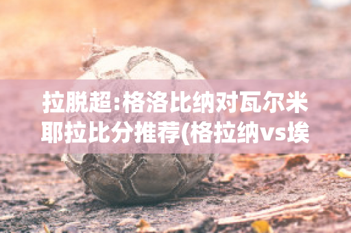 拉脱超:格洛比纳对瓦尔米耶拉比分推荐(格拉纳vs埃瓦尔)