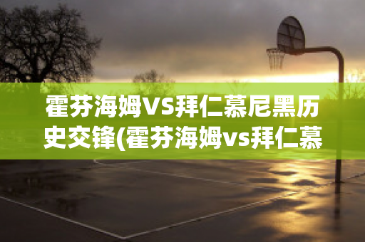 霍芬海姆VS拜仁慕尼黑历史交锋(霍芬海姆vs拜仁慕尼黑中断比赛的原因)