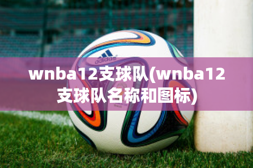 wnba12支球队(wnba12支球队名称和图标)