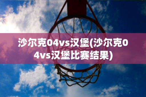 沙尔克04vs汉堡(沙尔克04vs汉堡比赛结果)