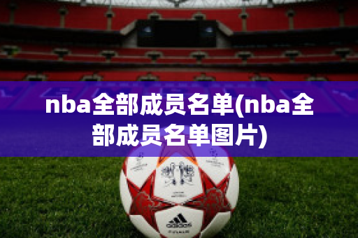 nba全部成员名单(nba全部成员名单图片)