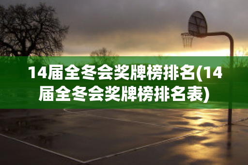 14届全冬会奖牌榜排名(14届全冬会奖牌榜排名表)