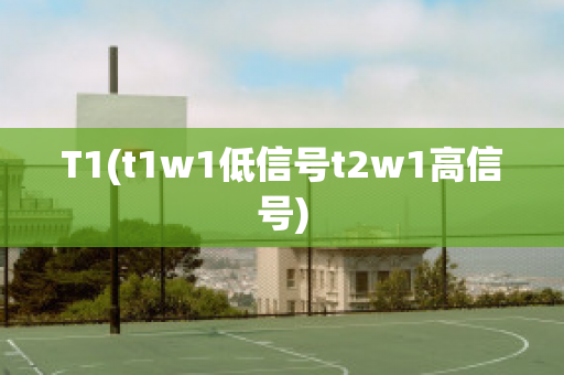 T1(t1w1低信号t2w1高信号)