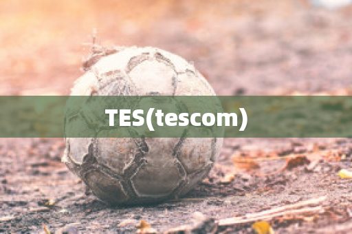 TES(tescom)