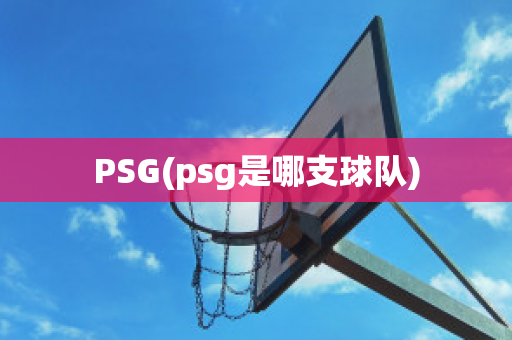 PSG(psg是哪支球队)