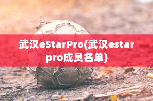 武汉eStarPro(武汉estarpro成员名单)