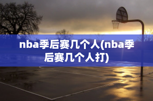 nba季后赛几个人(nba季后赛几个人打)