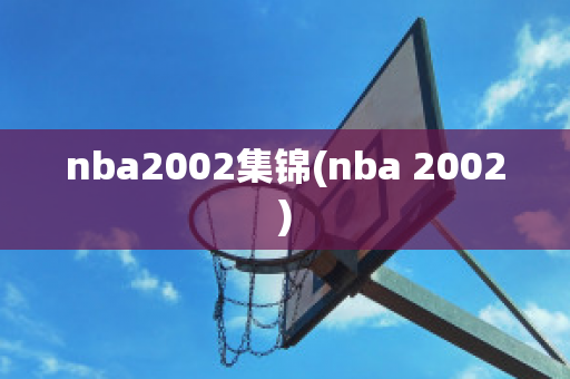 nba2002集锦(nba 2002)