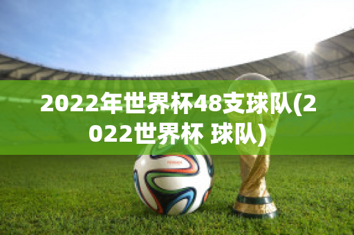 2022年世界杯48支球队(2022世界杯 球队)