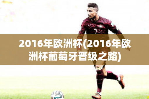 2016年欧洲杯(2016年欧洲杯葡萄牙晋级之路)