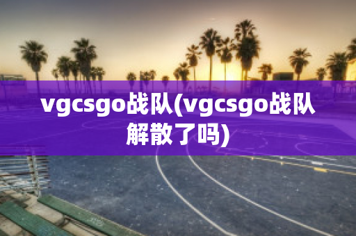 vgcsgo战队(vgcsgo战队解散了吗)