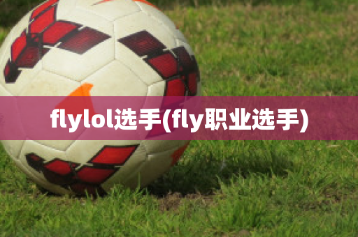 flylol选手(fly职业选手)