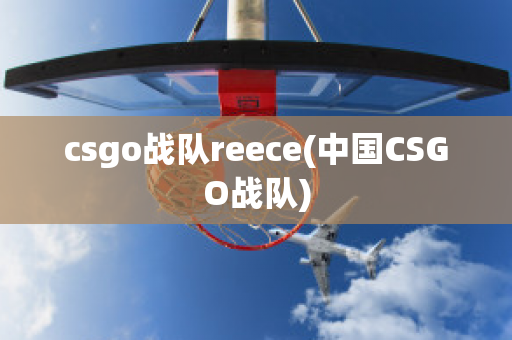 csgo战队reece(中国CSGO战队)