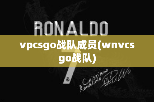 vpcsgo战队成员(wnvcsgo战队)