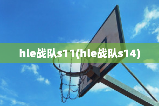 hle战队s11(hle战队s14)