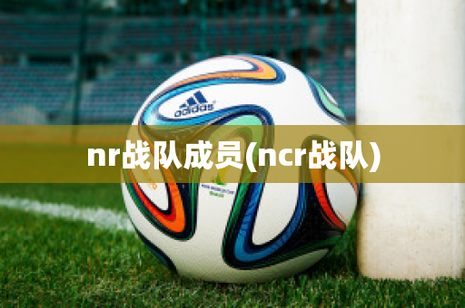 nr战队成员(ncr战队)