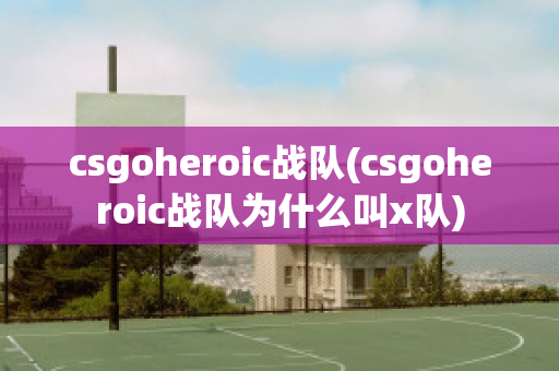 csgoheroic战队(csgoheroic战队为什么叫x队)