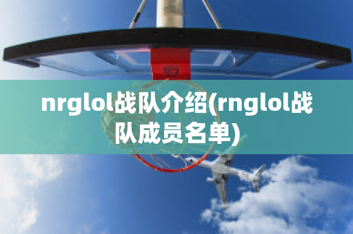 nrglol战队介绍(rnglol战队成员名单)