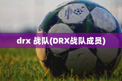 drx 战队(DRX战队成员)