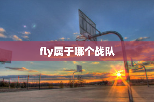 fly属于哪个战队