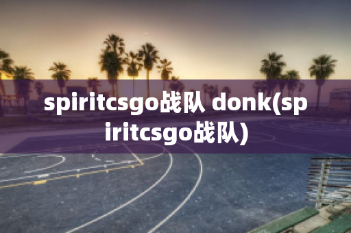 spiritcsgo战队 donk(spiritcsgo战队)