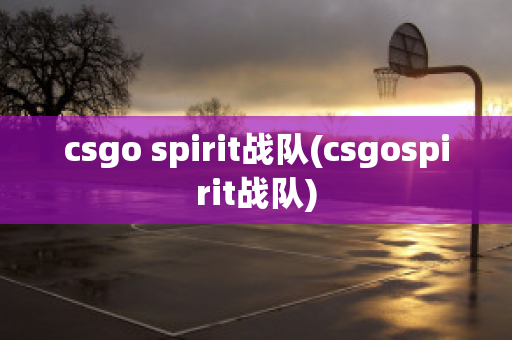 csgo spirit战队(csgospirit战队)