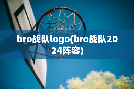 bro战队logo(bro战队2024阵容)