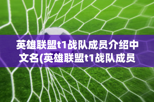 英雄联盟t1战队成员介绍中文名(英雄联盟t1战队成员介绍中文名称)