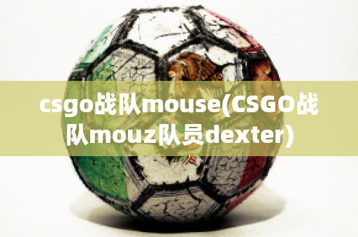 csgo战队mouse(CSGO战队mouz队员dexter)