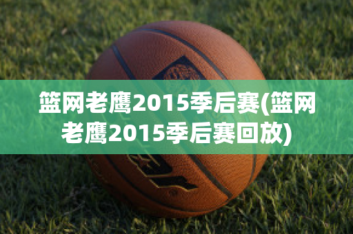 篮网老鹰2015季后赛(篮网老鹰2015季后赛回放)