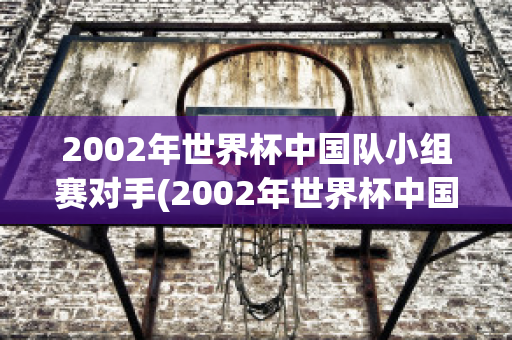 2002年世界杯中国队小组赛对手(2002年世界杯中国队小组赛对手阵容)